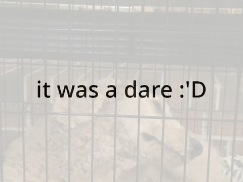aaa it was a dare 