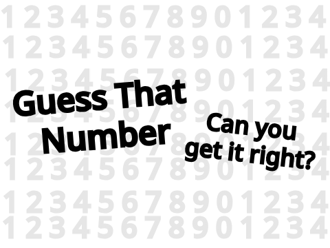 Guess That Number