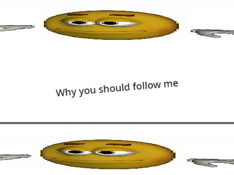 Why you Should follow me :)