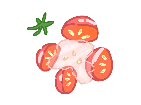トマト素材