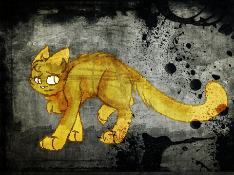 .:You're So Creepy:. CCE
