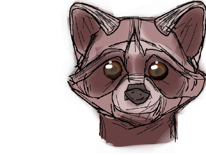 raccoon... just  a raccoon