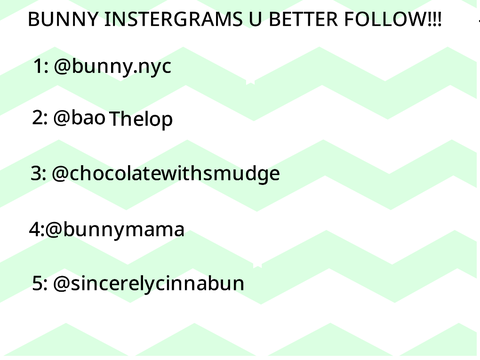 BUNNY INSTAGRAMS P.2