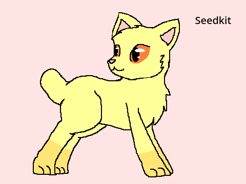 Seedkit's Burrow