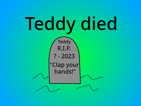 This is Teddy