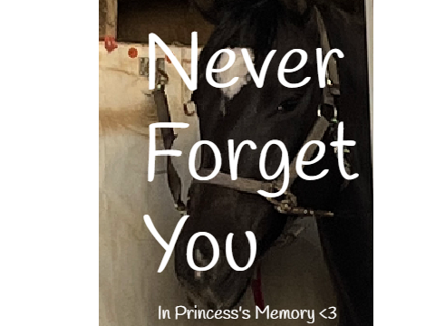 ~ Never Forget You ~ In Memory Of Princess, My Beautiful Girl <3