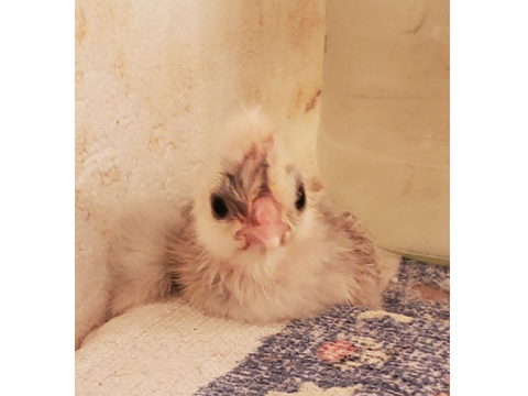 :D