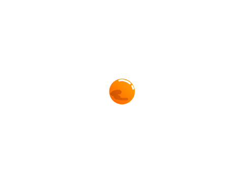 flap 4.0 concept