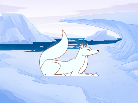 arctic fox dance