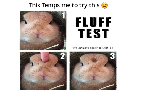BUNNY MEMEE