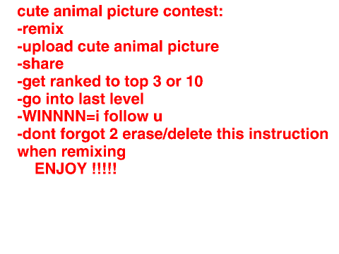 cuteest animal picture contest