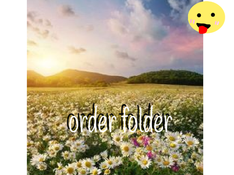 aierflowers order folder 
