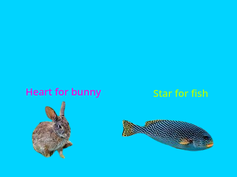 Bunny or Fish remix