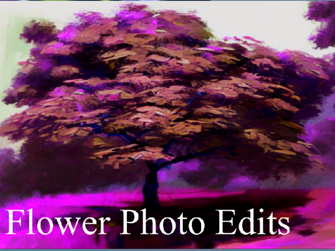 Flower Photo Edits!