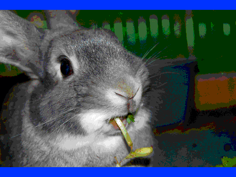 Nom Nom Nom Nom Nom Nom Nom!!!!!