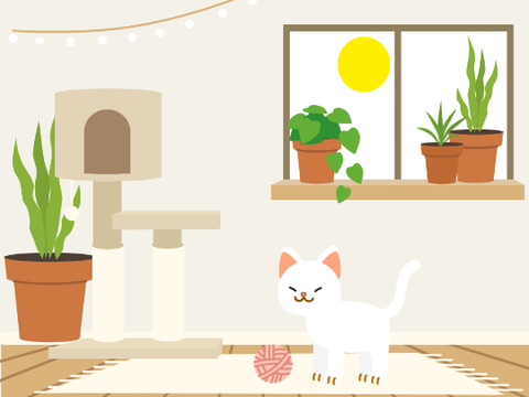 Relax with Snowpop 