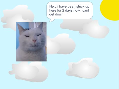PLS HELP
