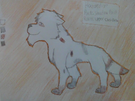 Hazard Reference Sheet