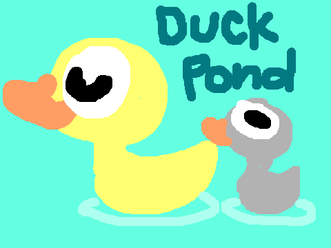 our duck pond