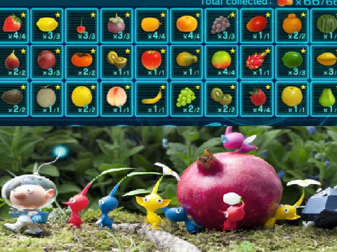 No pomegranate?