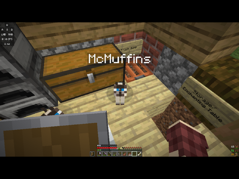 What did I just do to my MC world lol