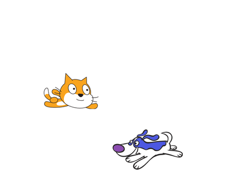 Cat Actions Beta