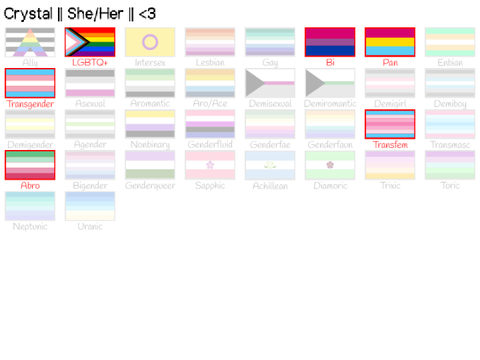 ♥ LGBTQ+ Pride Flag Selector ♥