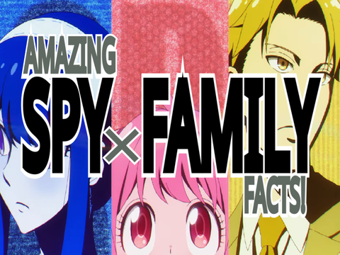 Fun Spy x Family Facts! #1