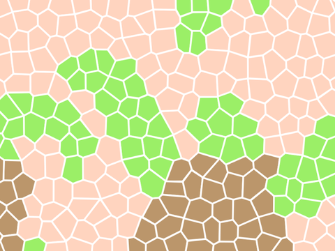 AC term 2 | sea turtles | mosaic 