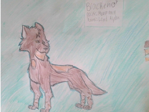 Bracken's Reference Sheet