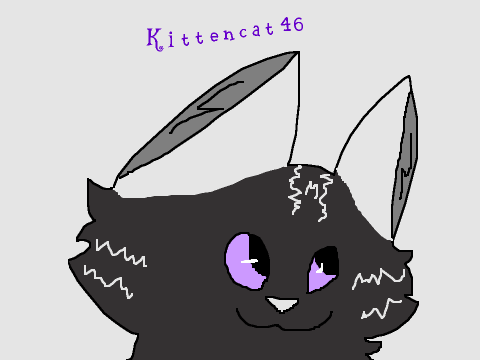 Entry For Kittencat46's Contest!