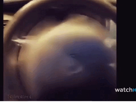 olivia rodrigo's helikopter helikopter car