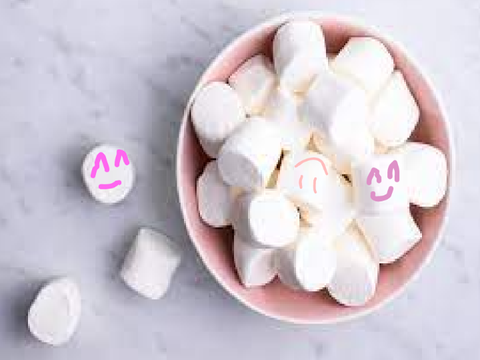 Draw A Face On One of The Marshmallows! remix remix