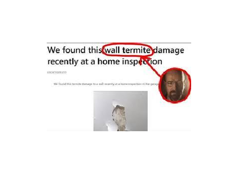 name soundalikes are.. intresting name soundalikes pt 1