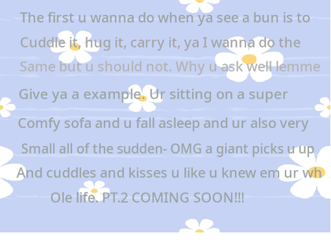 ya wanna hug a bunny?