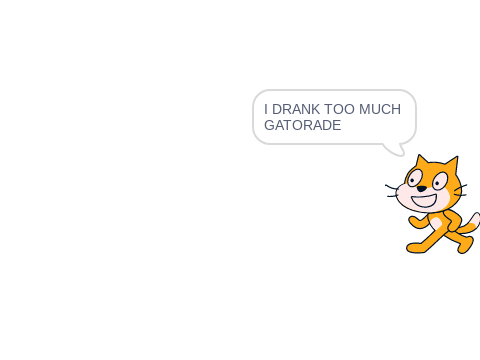one last crazy cat