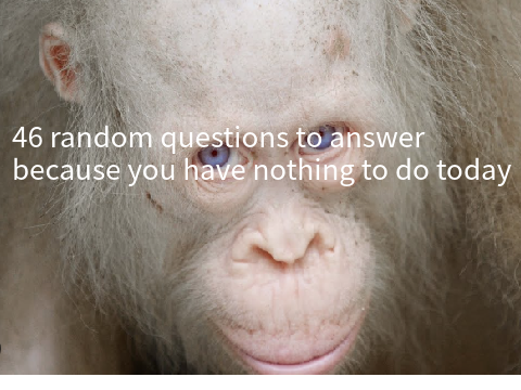 46 Random Questions Answered Because My Life Is Boring remix