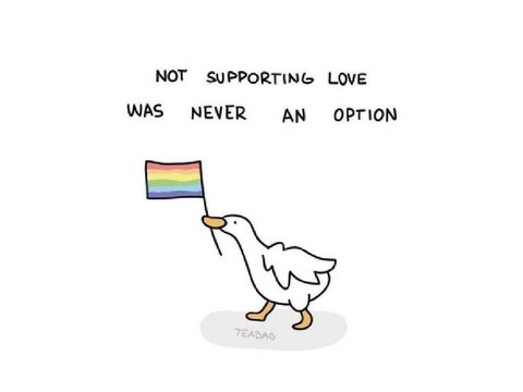 ◦°☆ Happy Pride Month! ☆°◦