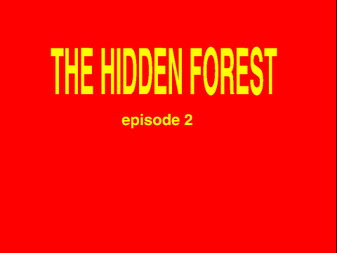The hidden forest ep. 2