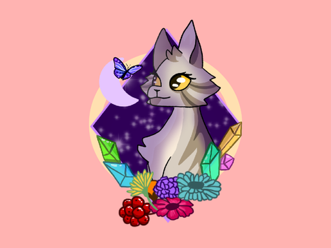 75+ Anything Contest entry