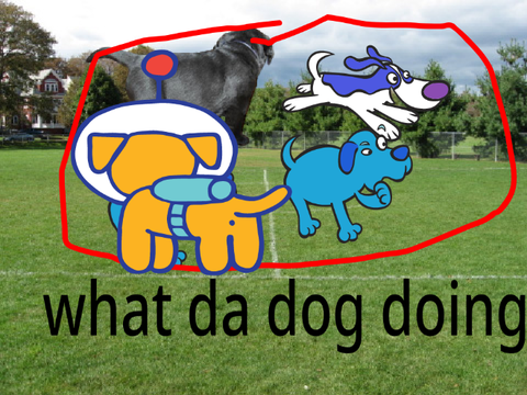 What da dog doin