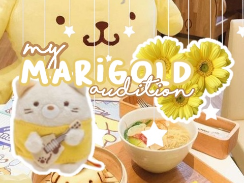 marigold audition ☆ ໒꒱ 