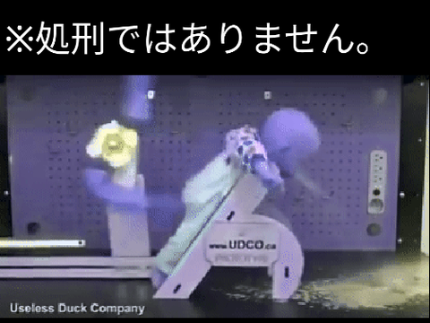 面白いGIF⑩
