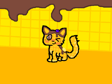 DTAE WaFFle CaT