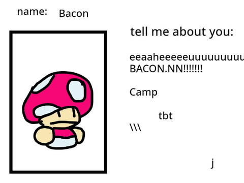 camp show remix