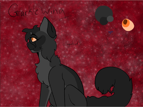 Oc: Grackle ‘ Wing
