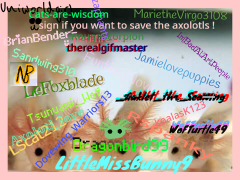 Remix and sign if you want to save the axolotls remix