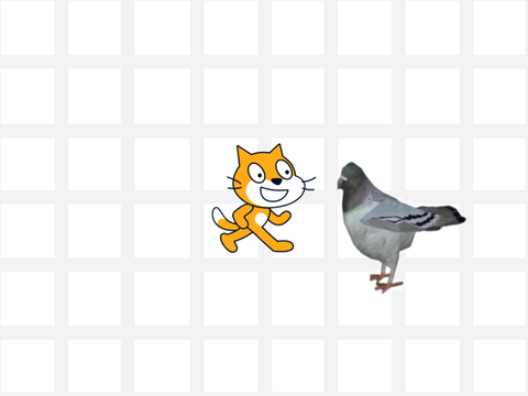 Get chased by a pigeon