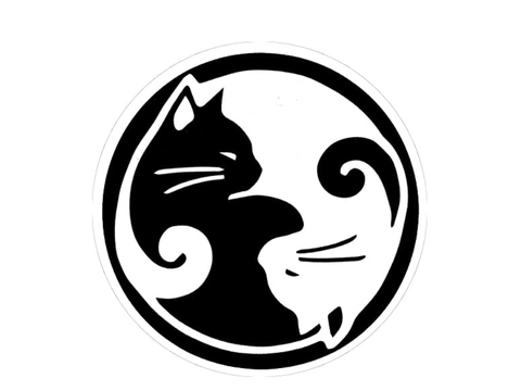 Taiwan Pfp