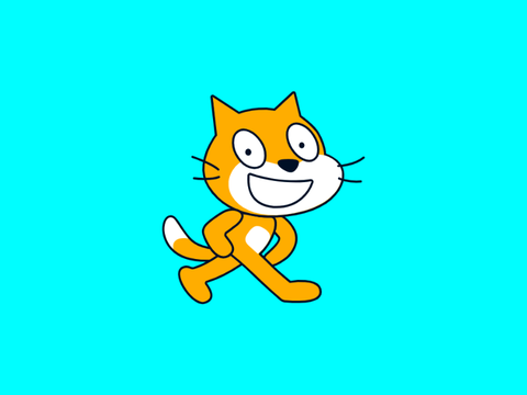 Scratch cat becomes canny remix